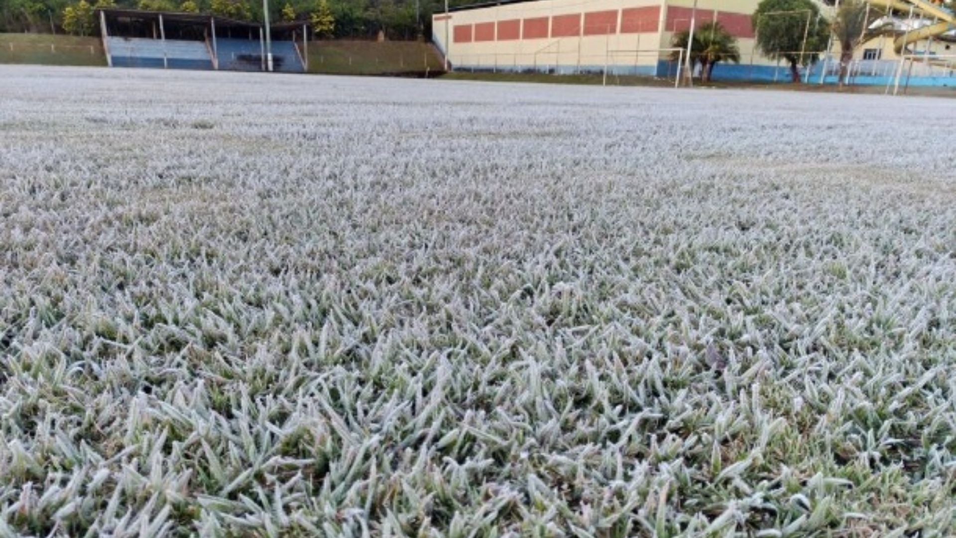 VÍDEO: Frio perto do 0 ºC e geada deixam Tapira com 'cenário europeu' 