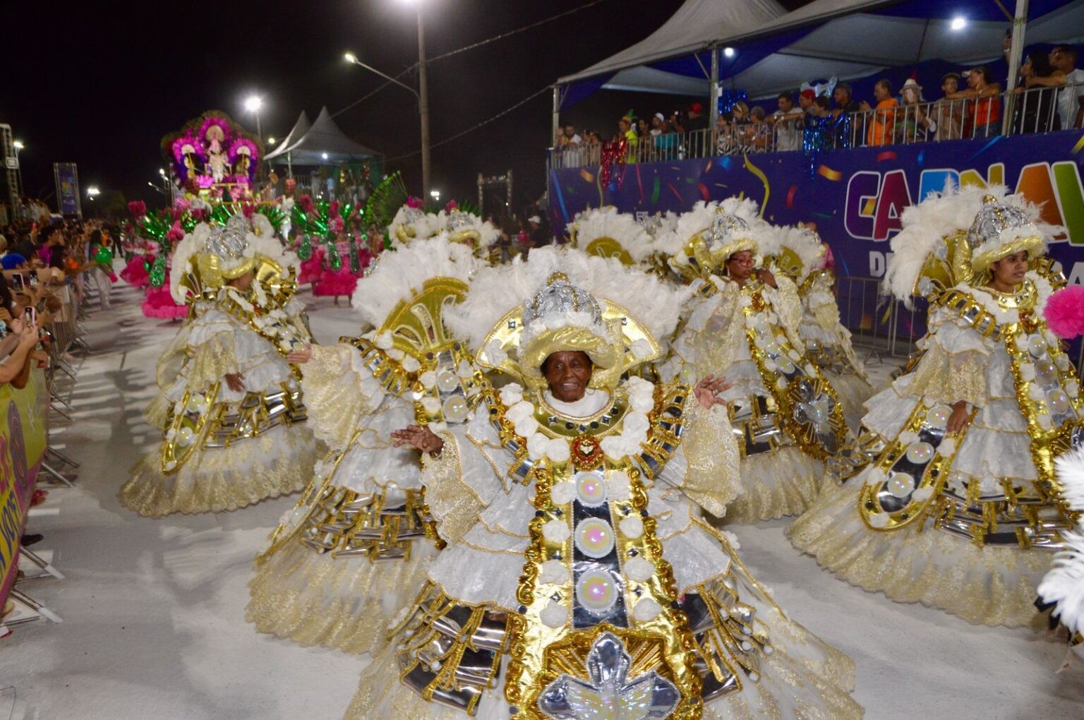 Escolas de samba homenageiam histórias de mulheres, livros e comunidade quilombola no 1º dia de desfiles em Campo Grande