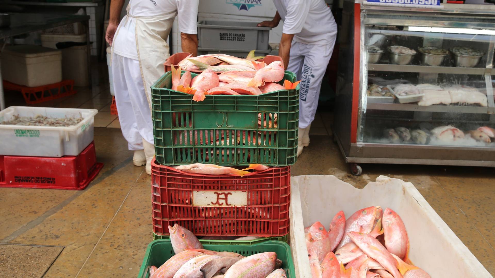 Tarifaço de Trump: Aço será poupado, mas pescados do Ceará serão taxados