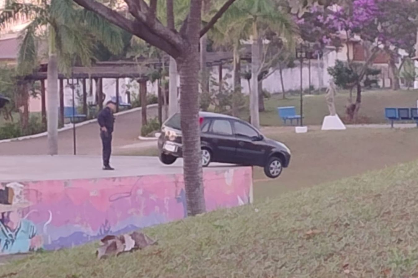 Motorista embriagado invade praça em Hortolândia