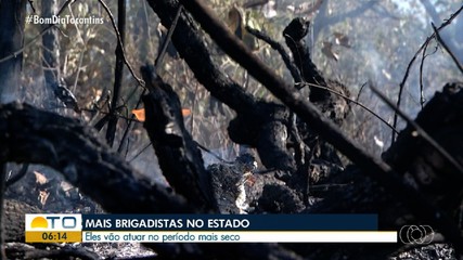 Governo do estado contrata mais brigadistas para atuar nas queimadas no Tocantins