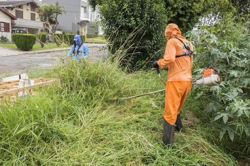 Suspeita de fraude em contratos milionários de roçada da Prefeitura de Curitiba resulta em prisão de três pessoas
