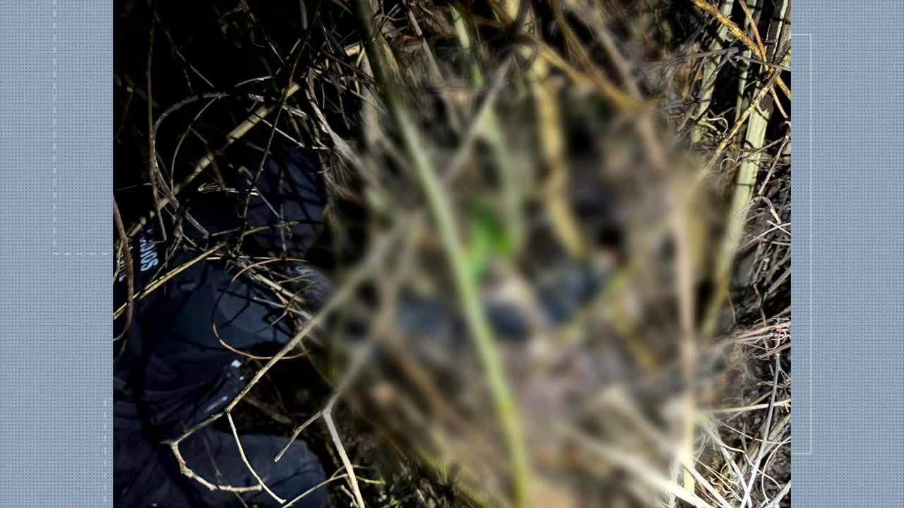 VÍDEOS: Bom Dia Goiás desta quarta-feira, 28 de janeiro de 2026