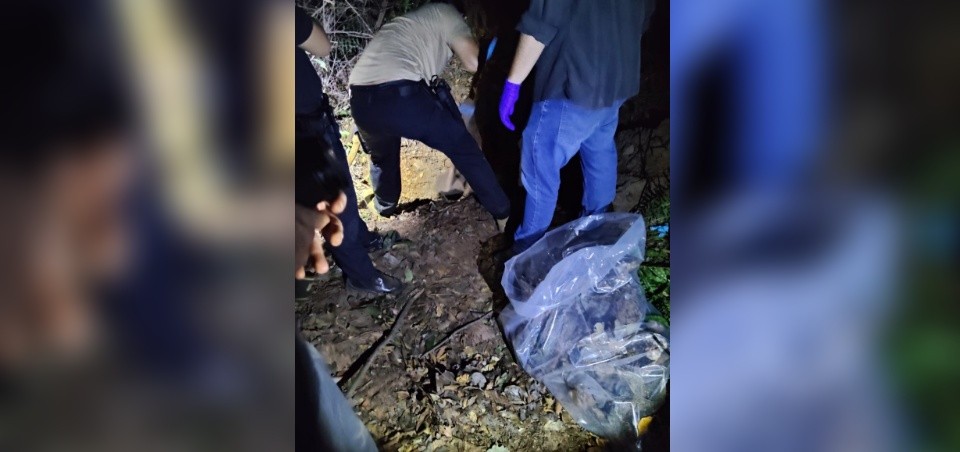 Ossada humana é encontrada em área de mata em bairro de Braúna