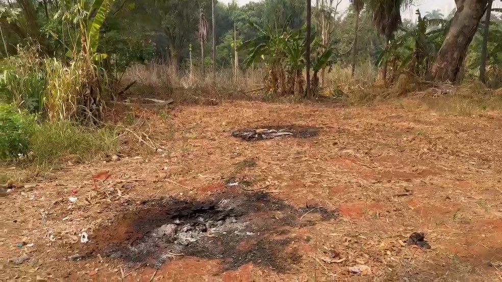 Idoso confessou atear fogo em lixo no local com frequência — Foto: Arquivo pessoal