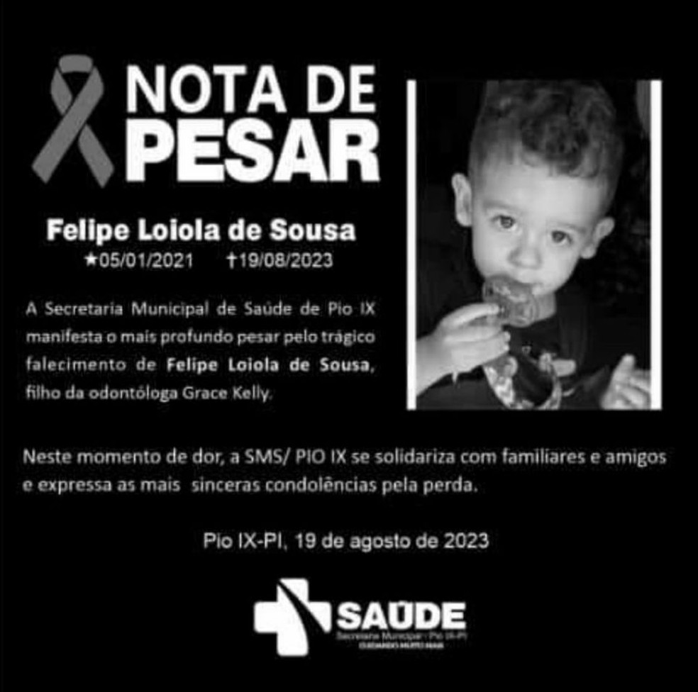 Gêmeo de 2 anos, filho de dentista, morre atropelado na BR-020 no Piauí — Foto: Reprodução