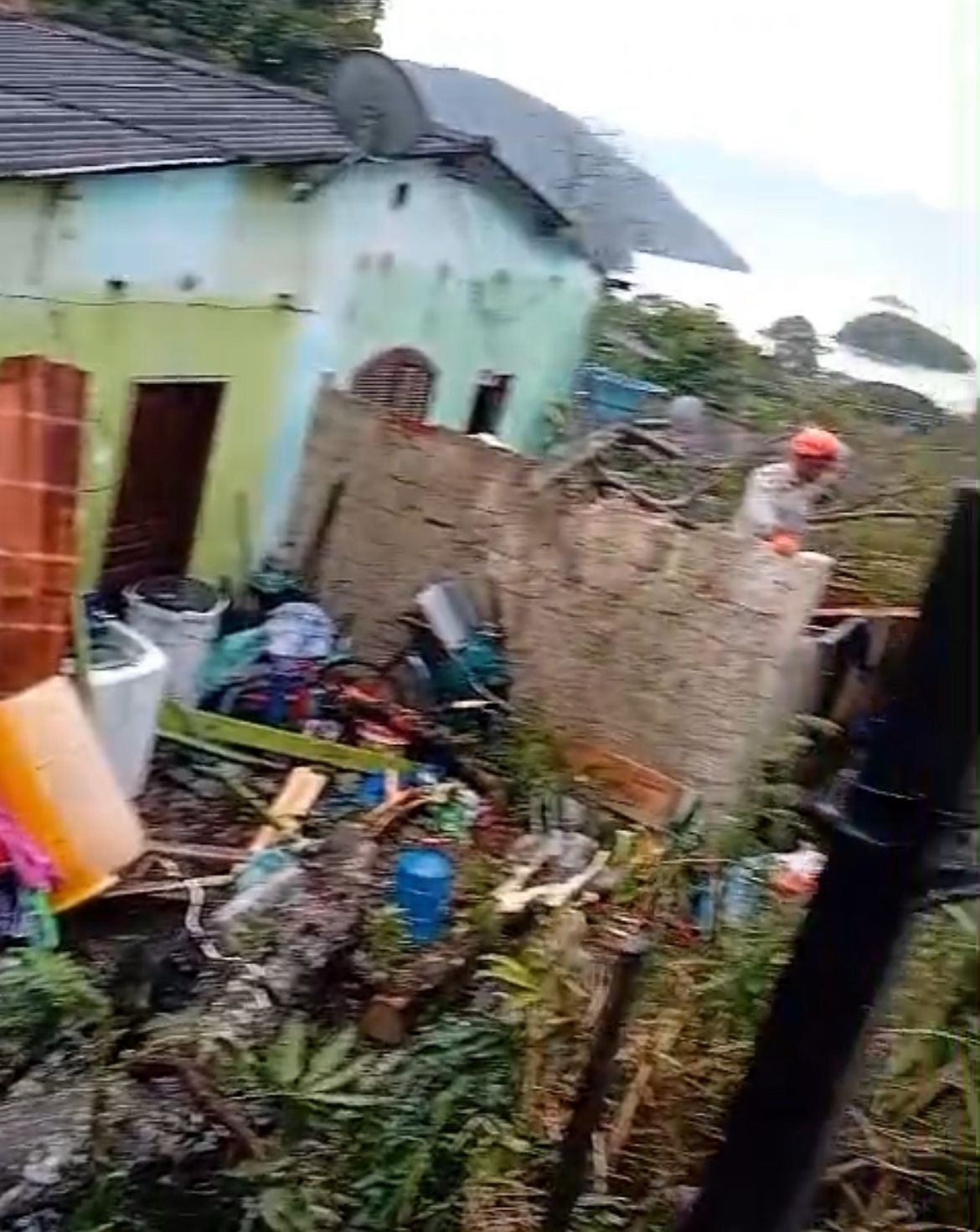 Árvore cai e atinge três casas em Angra dos Reis