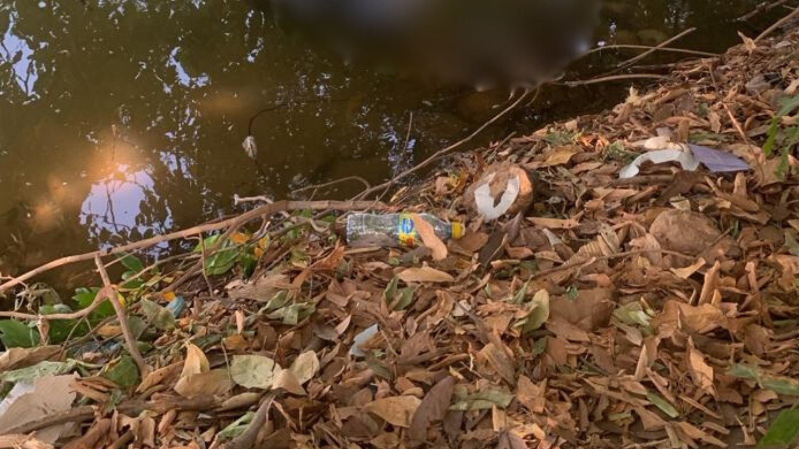Homem é encontrado morto às margens do Rio Parnaíba em Teresina
