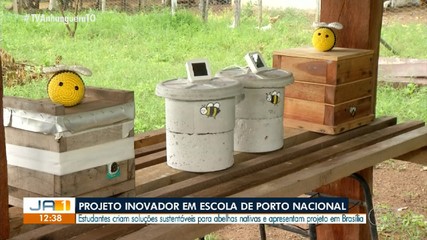 Estudantes de Porto Nacional desenvolvem soluções sustentáveis para criação de abelhas