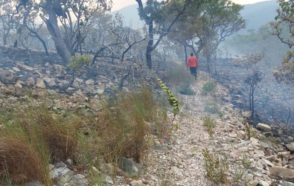 Equipe atua no combate ao fogo na Serra do Amolar — Foto: Divulgação/IHP
