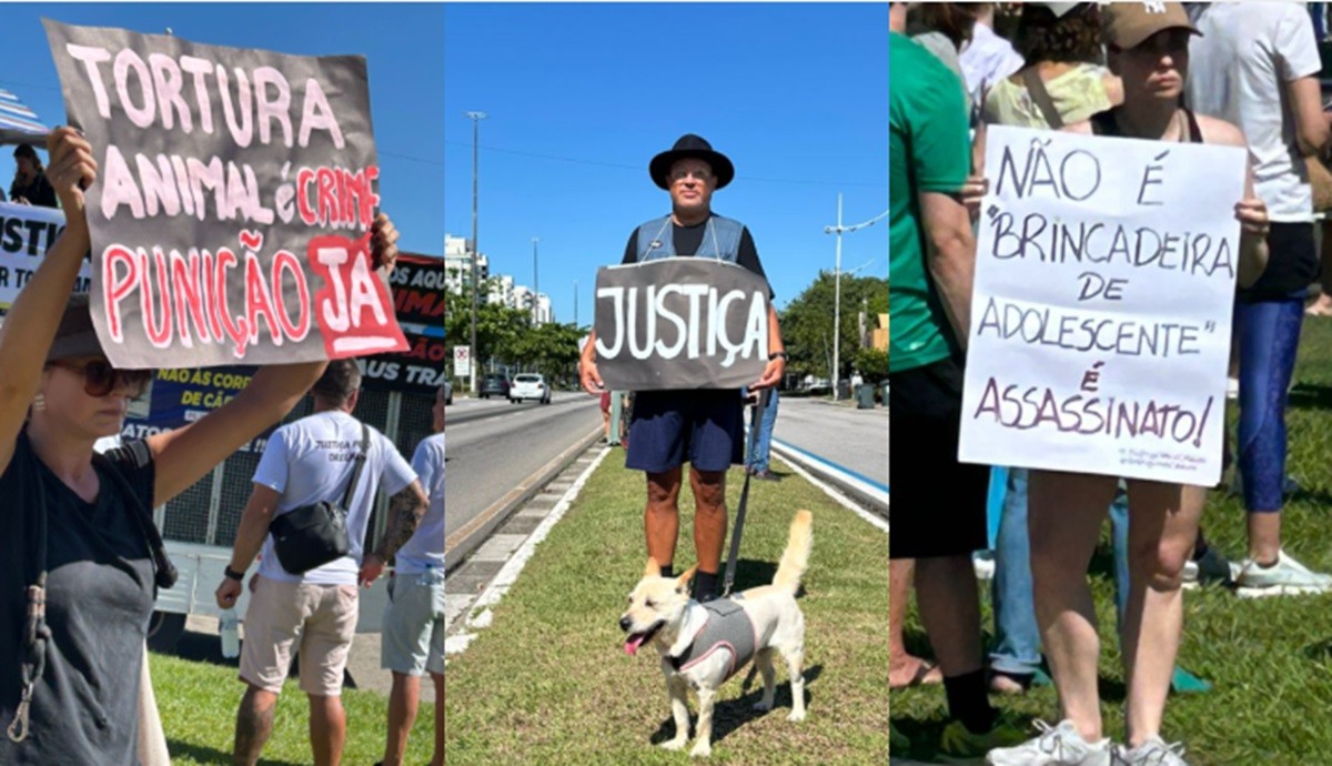 Justiça pelo caso Cão Orelha mobiliza manifestações em Florianópolis e várias cidades de SC