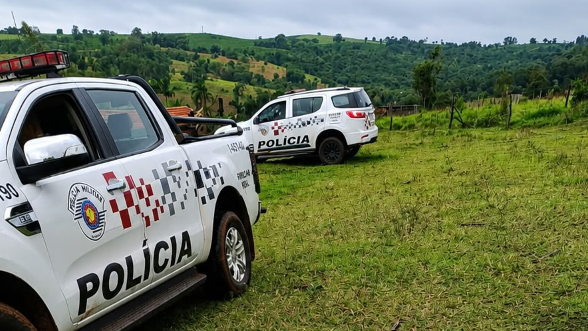 Homem é preso suspeito de matar cadela com tiro na cabeça em Avaré