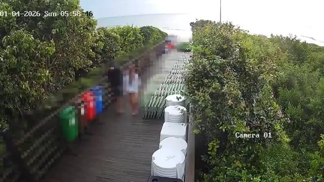 Cão Orelha: menina em vídeo com adolescente no dia das agressões sofre ameaças após divulgação de imagem fora do contexto, diz defesa 