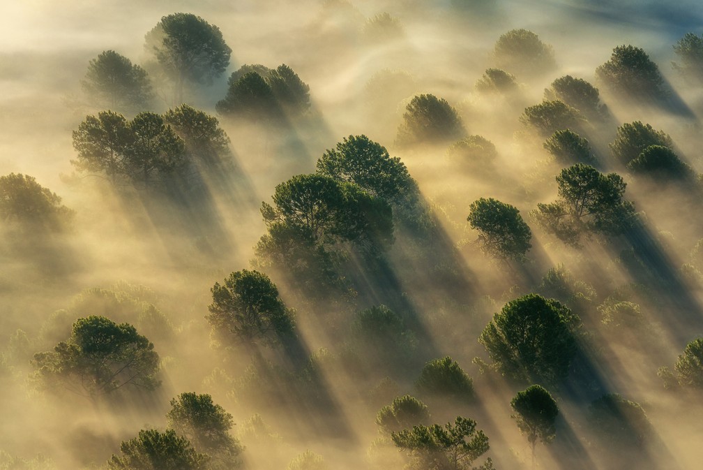 'As maravilhas da natureza muitas vezes se revelam inesperadamente', de acordo com o fotógrafo Aung Chan Thar. O registro tirado a partir de uma montanha enevoada em Kalaw, Mianmar, mostra o sol emergindo emergindo por entre a névoa e ilumniando a copa das árvores. — Foto: Aung Chan Thar