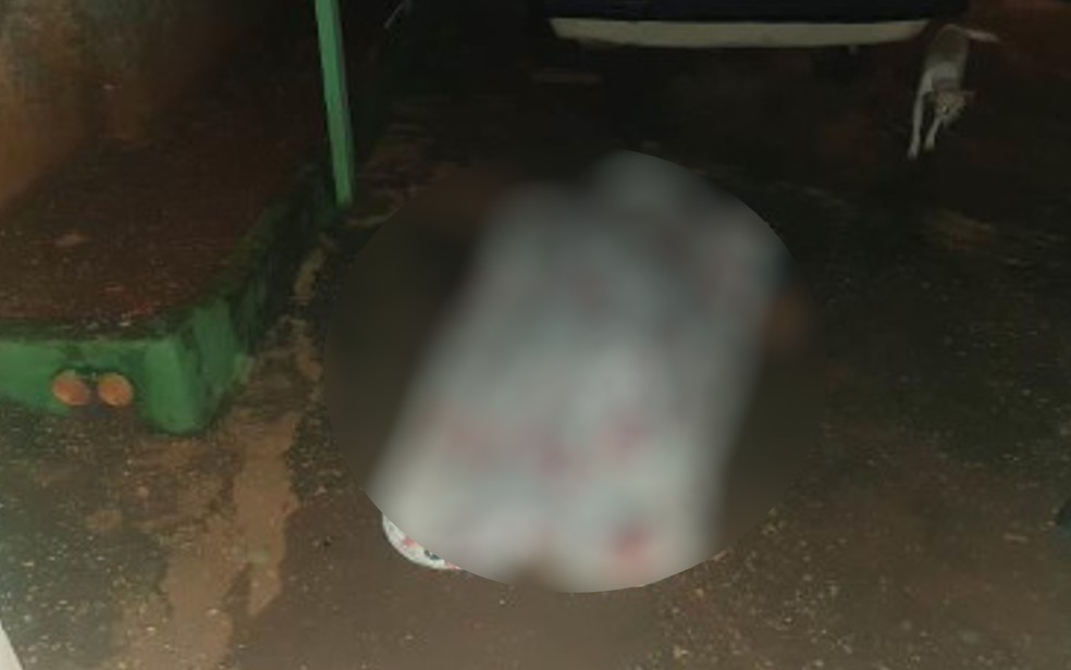 Vítima de homicídio por golpes de arma branca, em Guapó - Goiás — Foto: Divulgação/PC