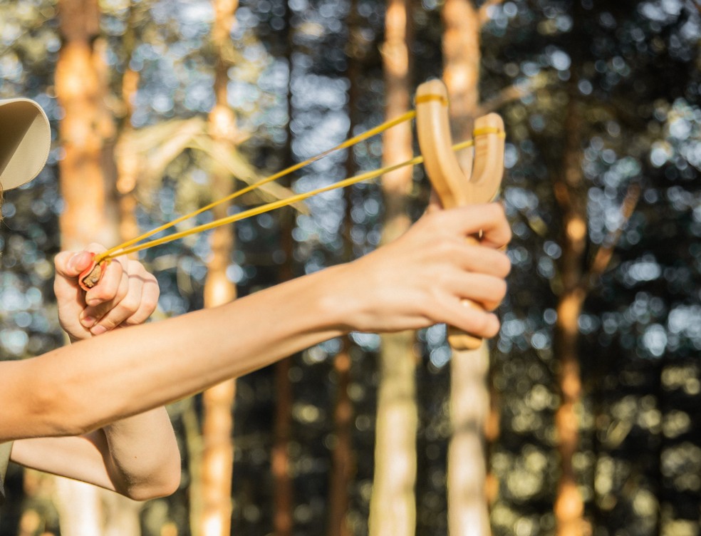 Com estilingue, menino salva irmã de sequestro nos Estados Unidos — Foto: Pexels