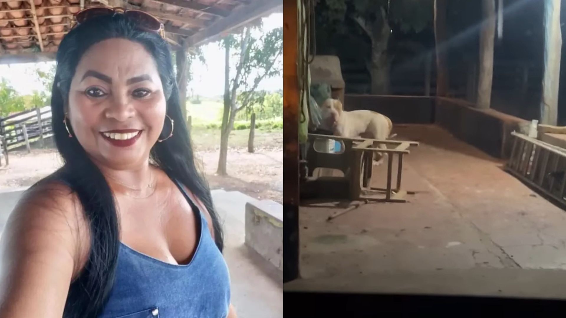 Mulher morre após ser atacada pelo próprio pitbull no interior do MA | G1