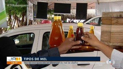 Aprenda quais a diferenças entre vários tipos de mel na feira Agrosudeste