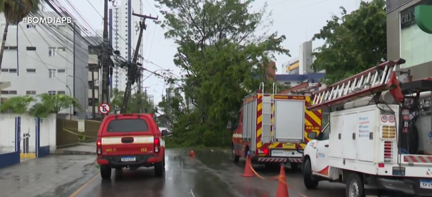 Árvore cai após chuvas e interdita via no bairro Expedicionários, em João Pessoa