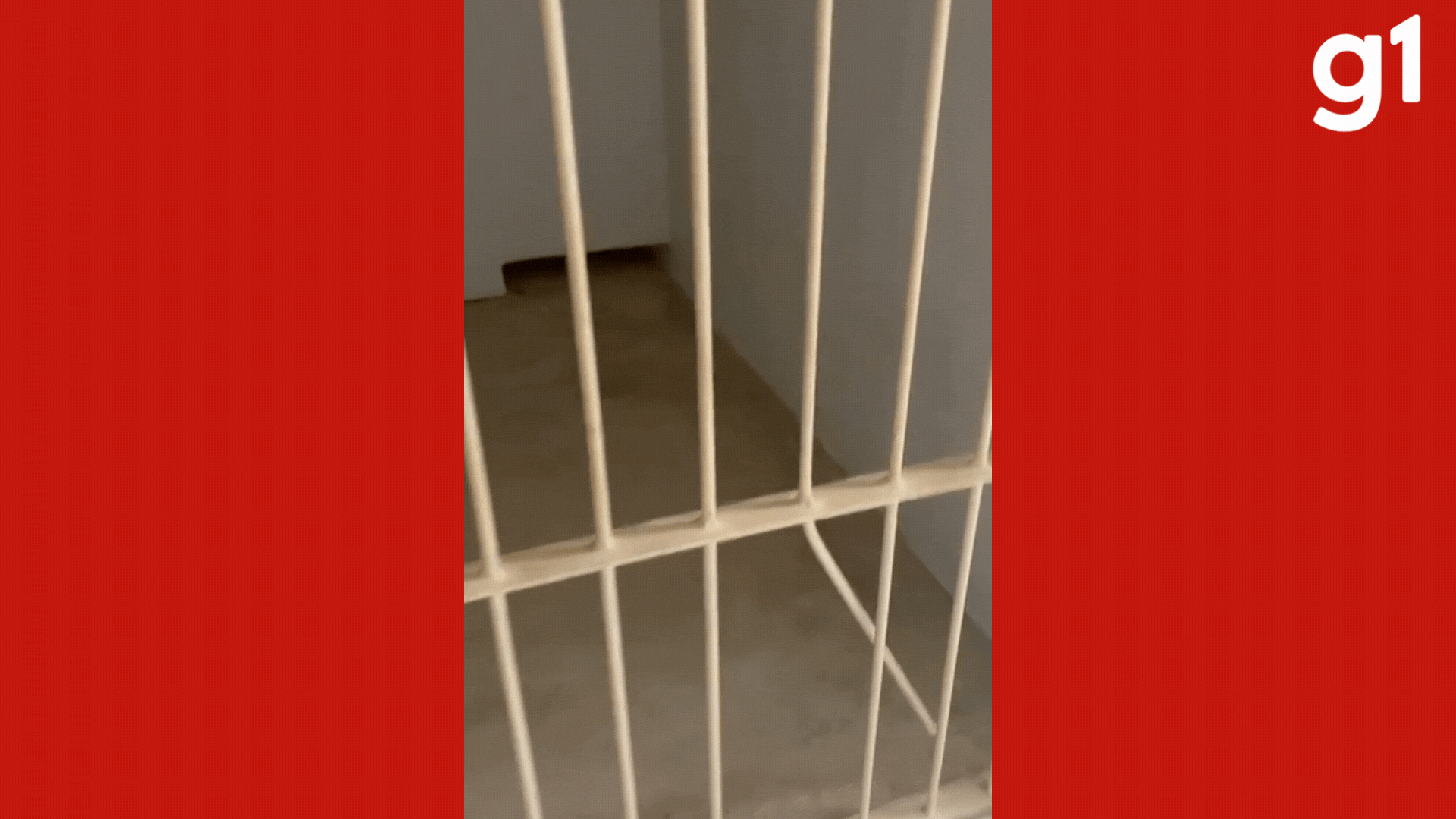 Réu quebra a grade de cela e foge depois de audiência de custódia em MT