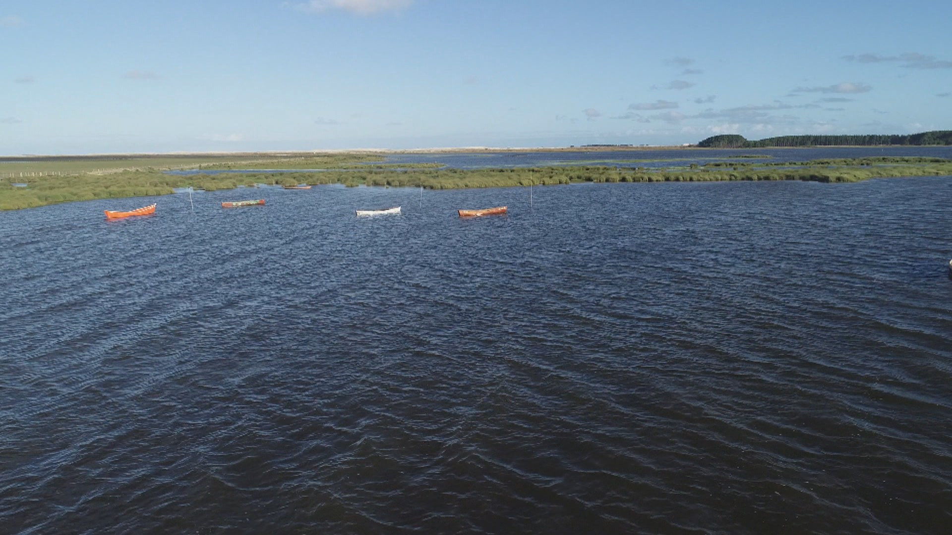 Lagoa do Peixe recupera volume de água após enfrentar anos seguidos de seca no RS; veja ANTES e DEPOIS