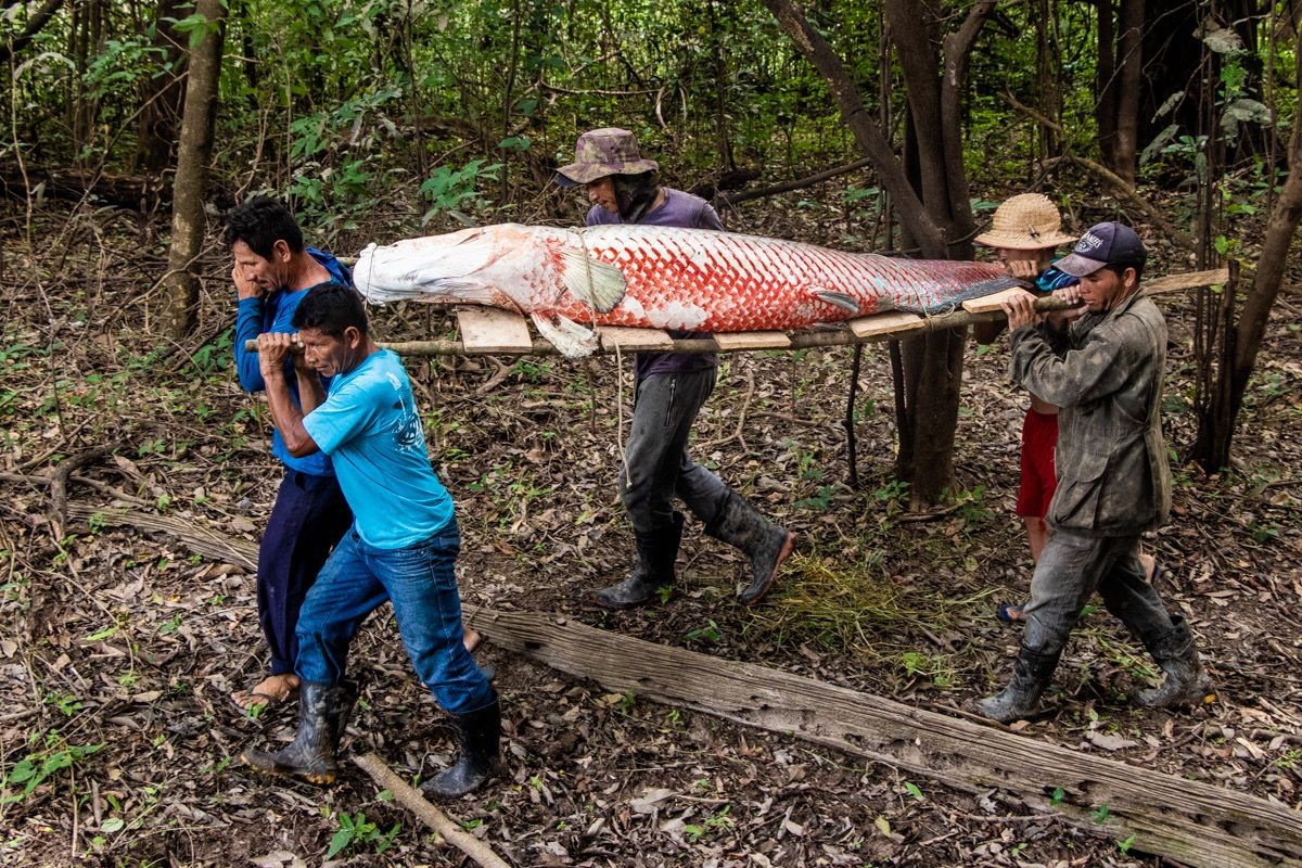 Fiscal comunitário é baleado durante monitoramento contra pesca ilegal em reserva no interior do AM