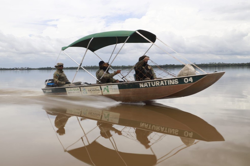 Cerca de 16 fiscais participaram da operação — Foto: Walker Ribeiro/Governo do Tocantins