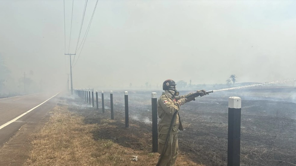 Incêndio florestal atinge trecho da BR-319 e mobiliza bombeiros há três dias — Foto: Divulgação/CBMAM