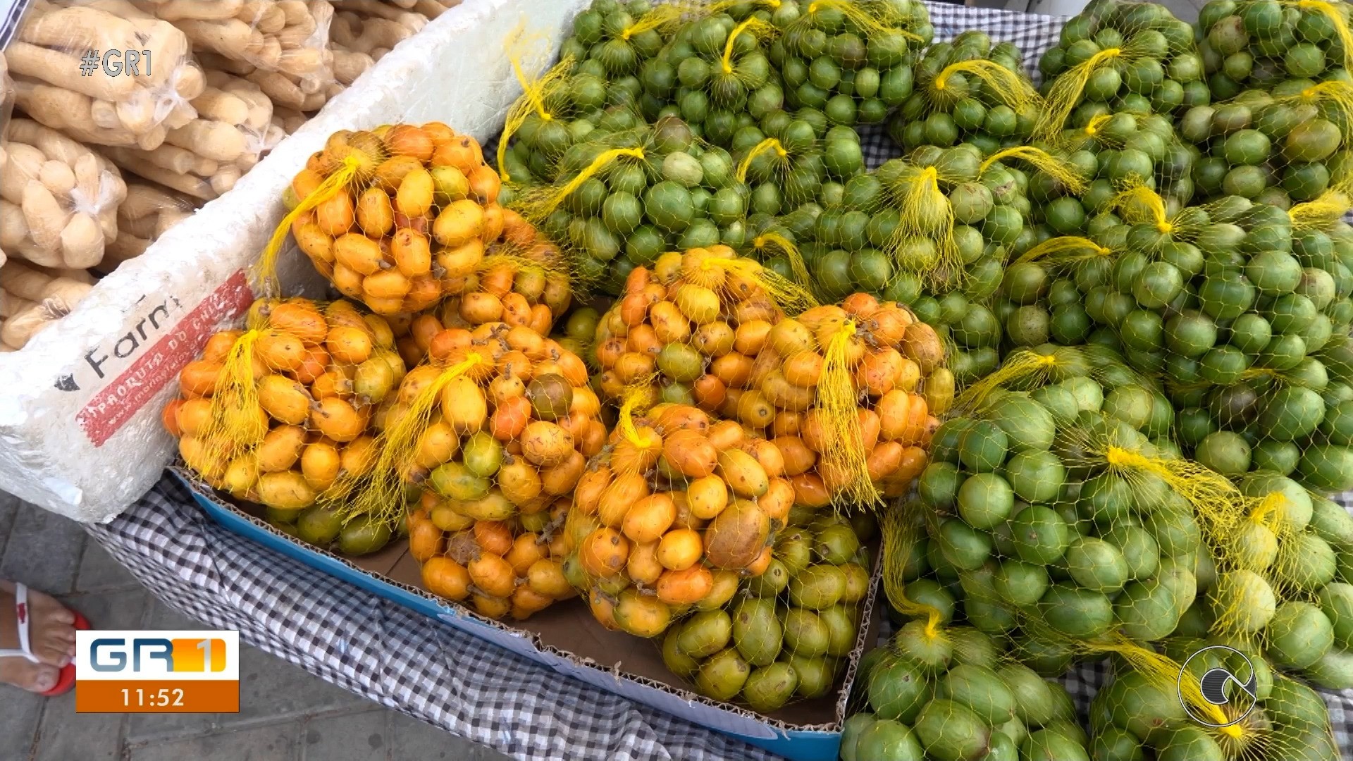 VÍDEOS: GR1 de quinta-feira, 8 de janeiro