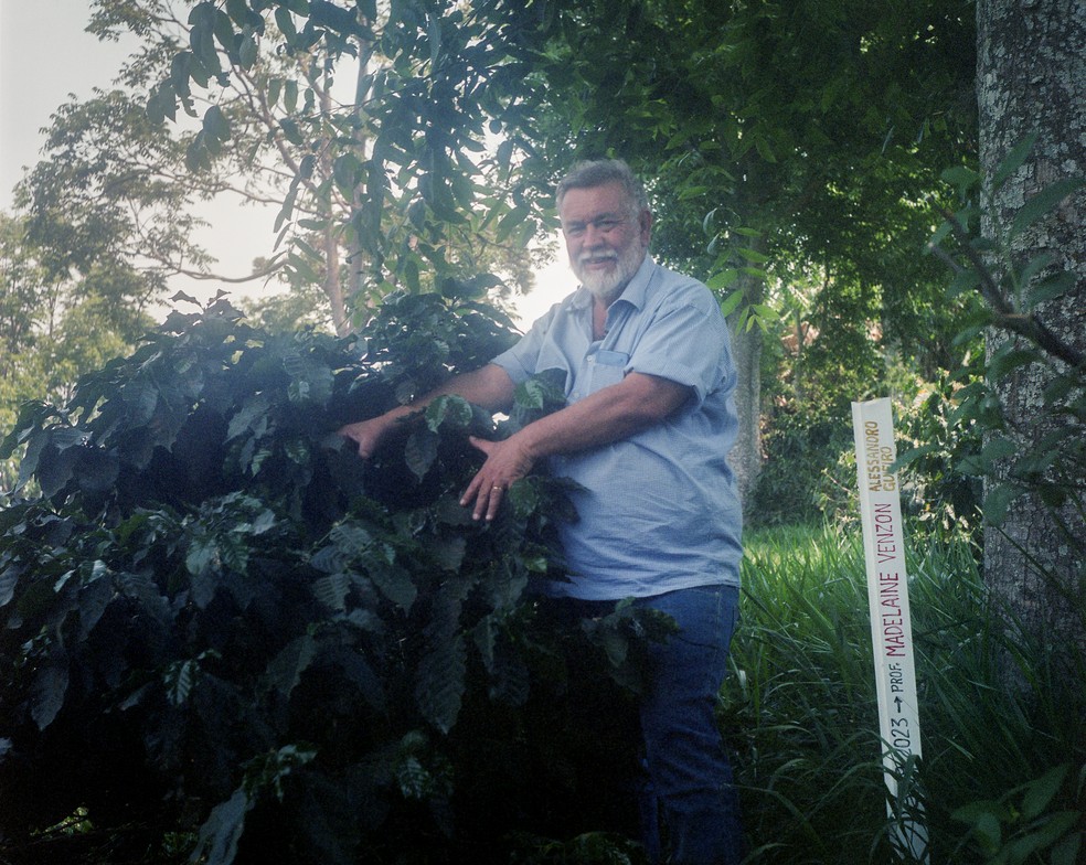 Sérgio Lange, Cofundador Associação dos Cafeicultores de Montanha de Divinolândia (Aprod), abraça cafeeiro ao lado de árvore batizada com o nome da pesquisadora Madelaine Venzon. — Foto: Stephanie Rodrigues / g1