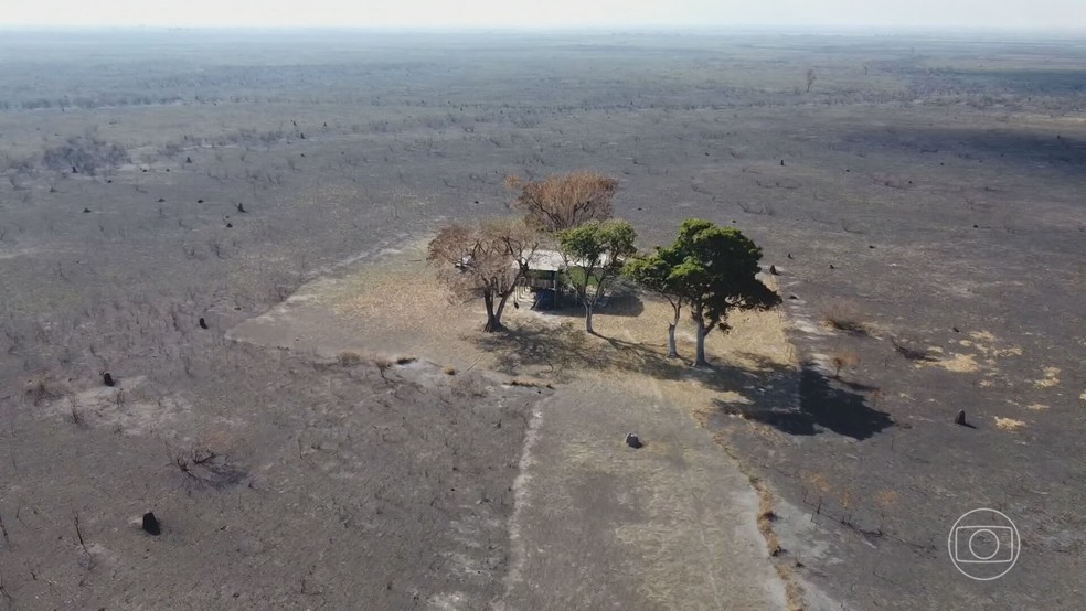 Casa resiste ao fogo em área devastada — Foto: Reprodução/TV Globo