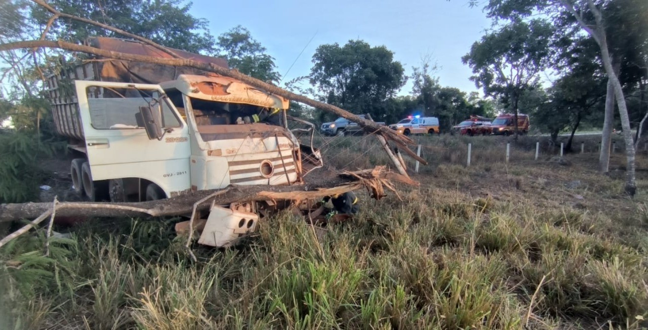Duas pessoas ficam feridas após carreta bater em árvore na LMG-628