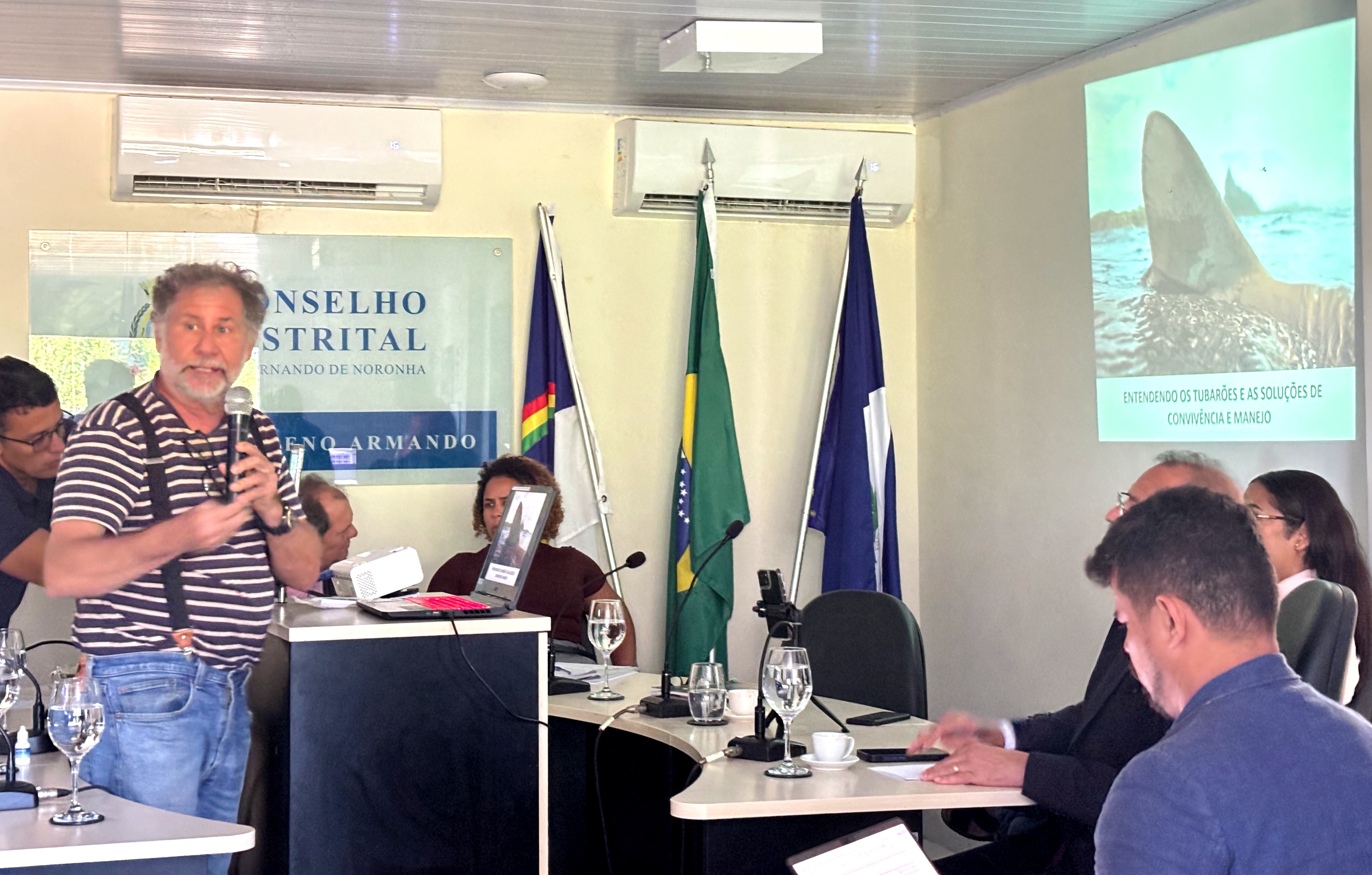 Conselho Distrital debate segurança e manejo de tubarões em Fernando de Noronha