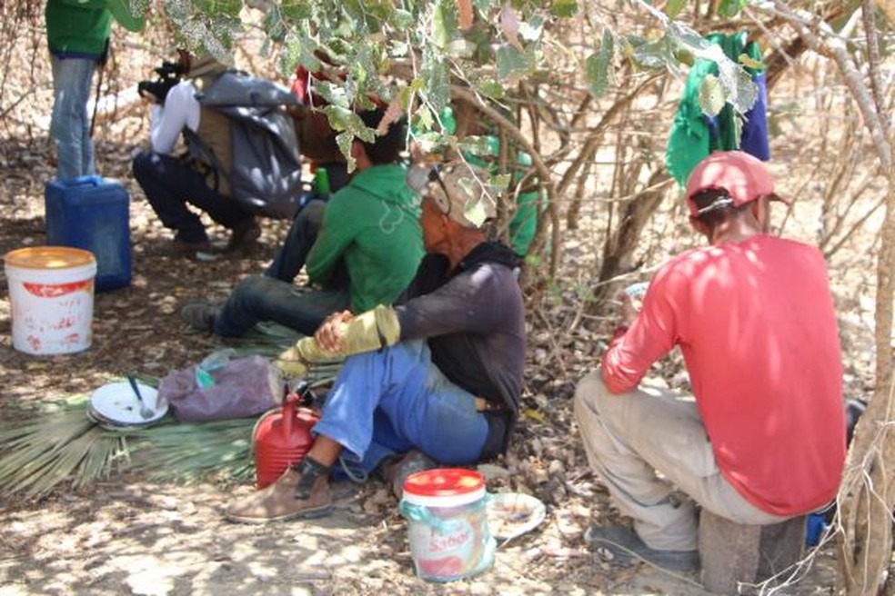 Trabalhadores resgatados faziam as refeições no chão, no meio do mato — Foto: Ascom MPT