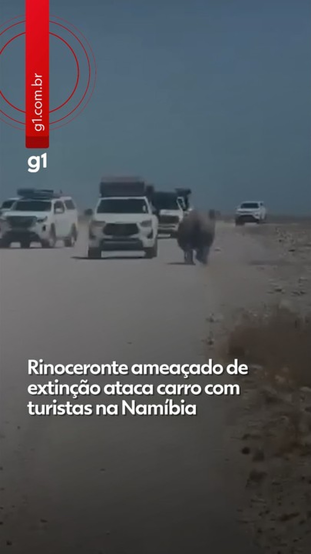 Rinoceronte ameaçado de extinção é flagrado atacando carro com turistas