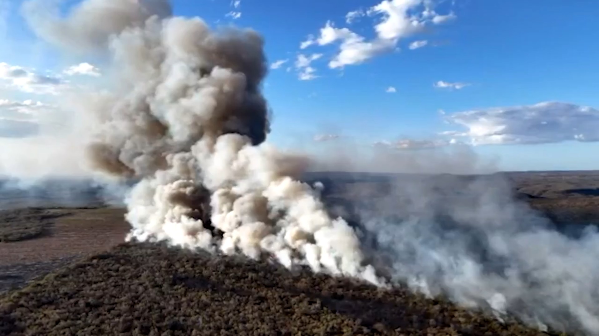 Vídeo: incêndio atinge área de mata em Cocal dos Alves, próximo à divisa com Ceará