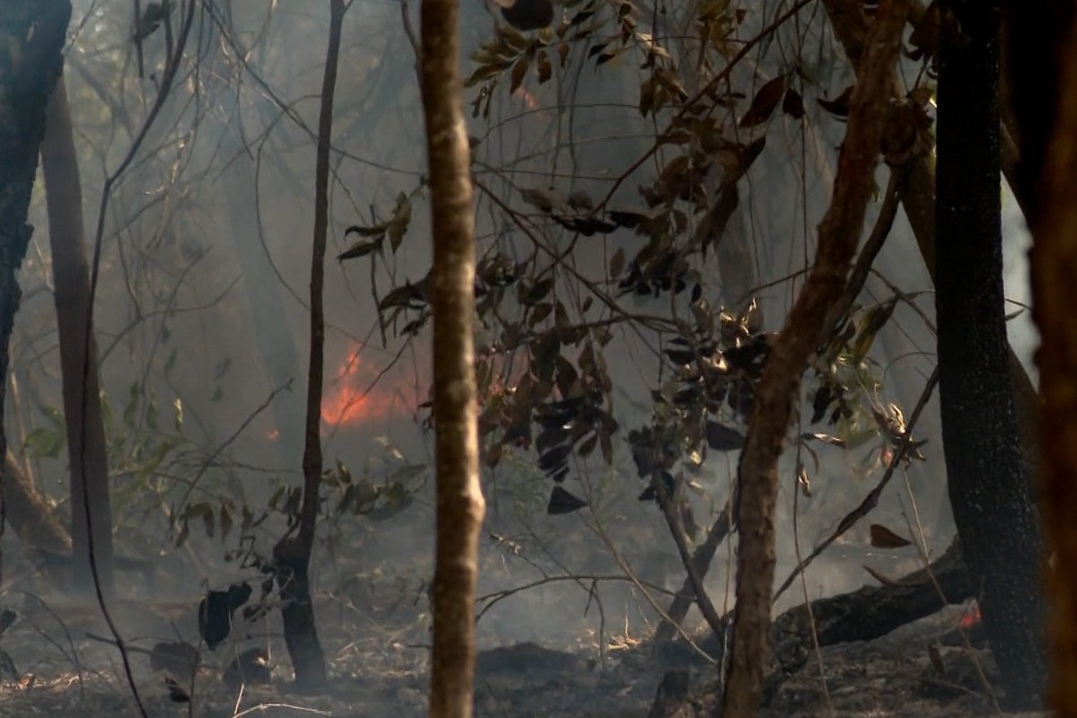 Incêndio atinge reserva da Associação Nipo-Brasileira de Campo Grande