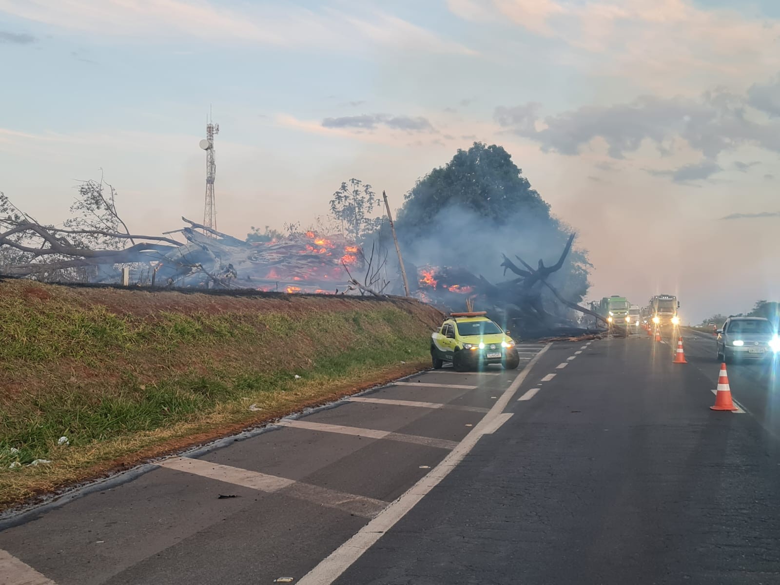 Motorista morre após árvore em chamas cair sobre veículo na SP-310 em Araraquara