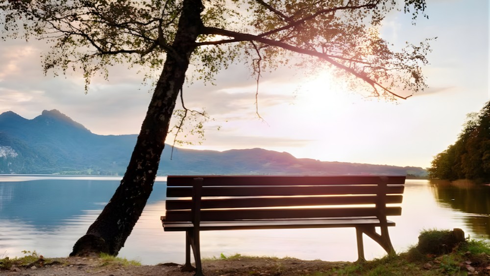 30 de janeiro: o dia da saudade e o direito de sentir