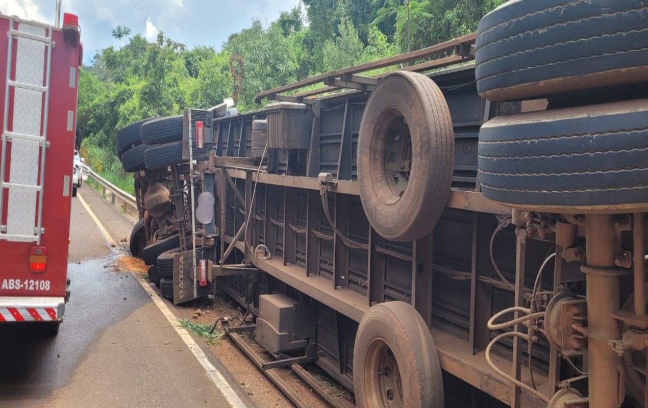 Carreta carregada com quase 30 bovinos tomba em rodovia no interior de SP