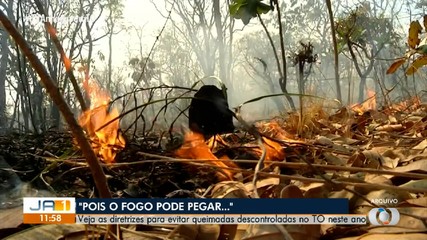 Secretaria antecipa planejamento de ações de combate às queimadas no Tocantins