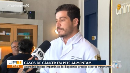 Veterinário explica os principais sintomas de câncer em pets