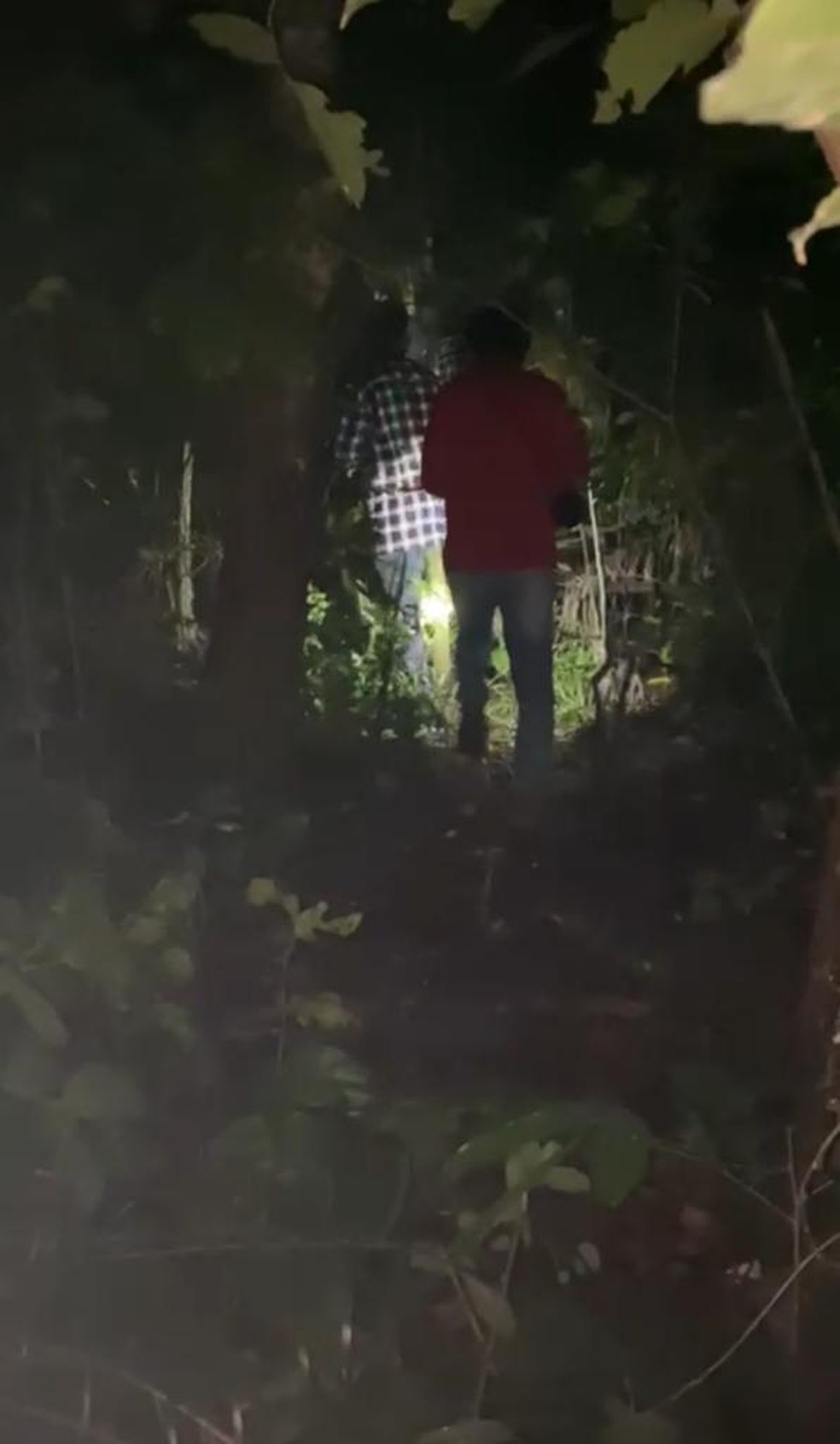 Moradores da aldeia fizeram buscas durante a noite — Foto: Reprodução