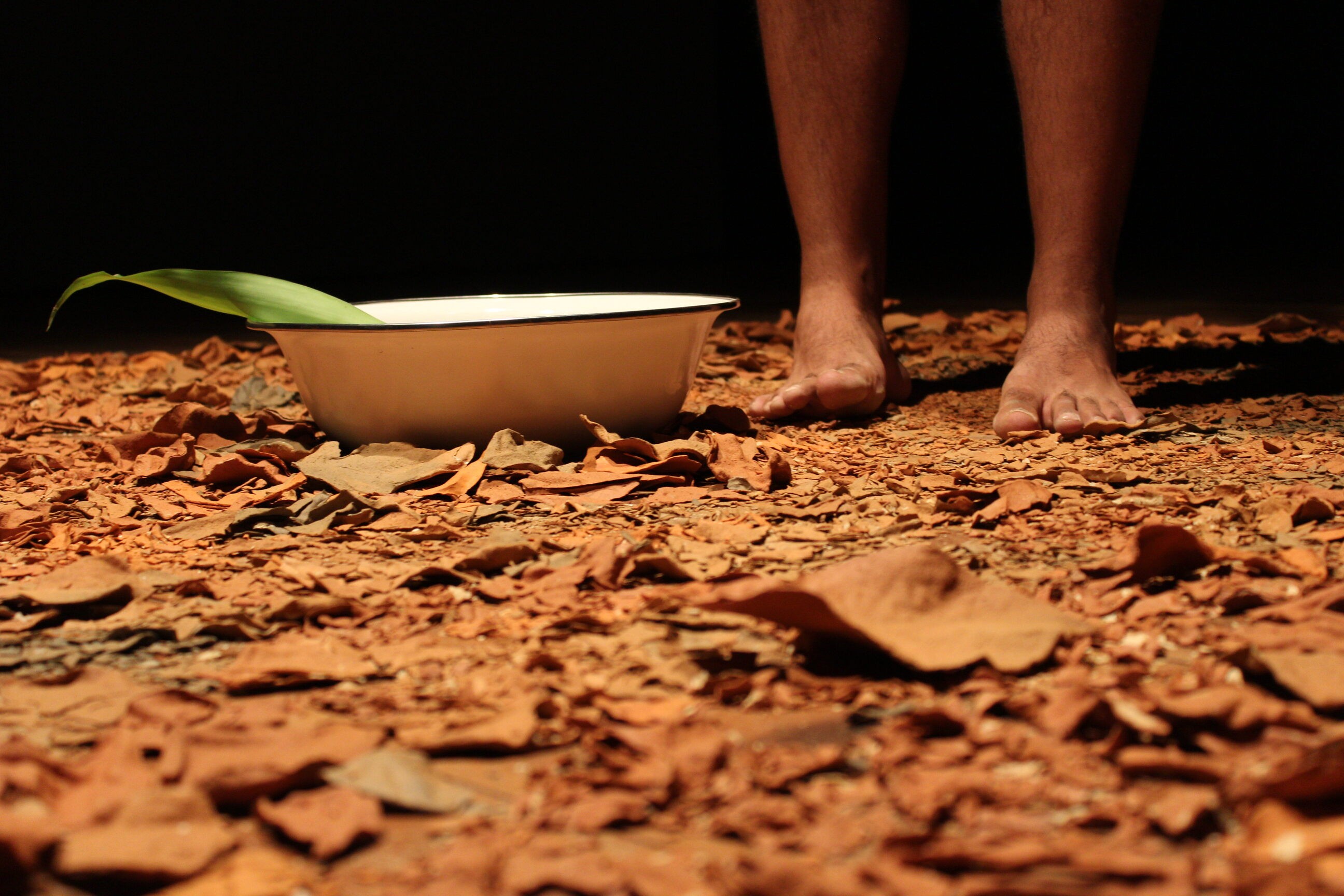 Exposição sobre a relação da água e territórios ribeirinhos estreia nesta sexta em Petrolina