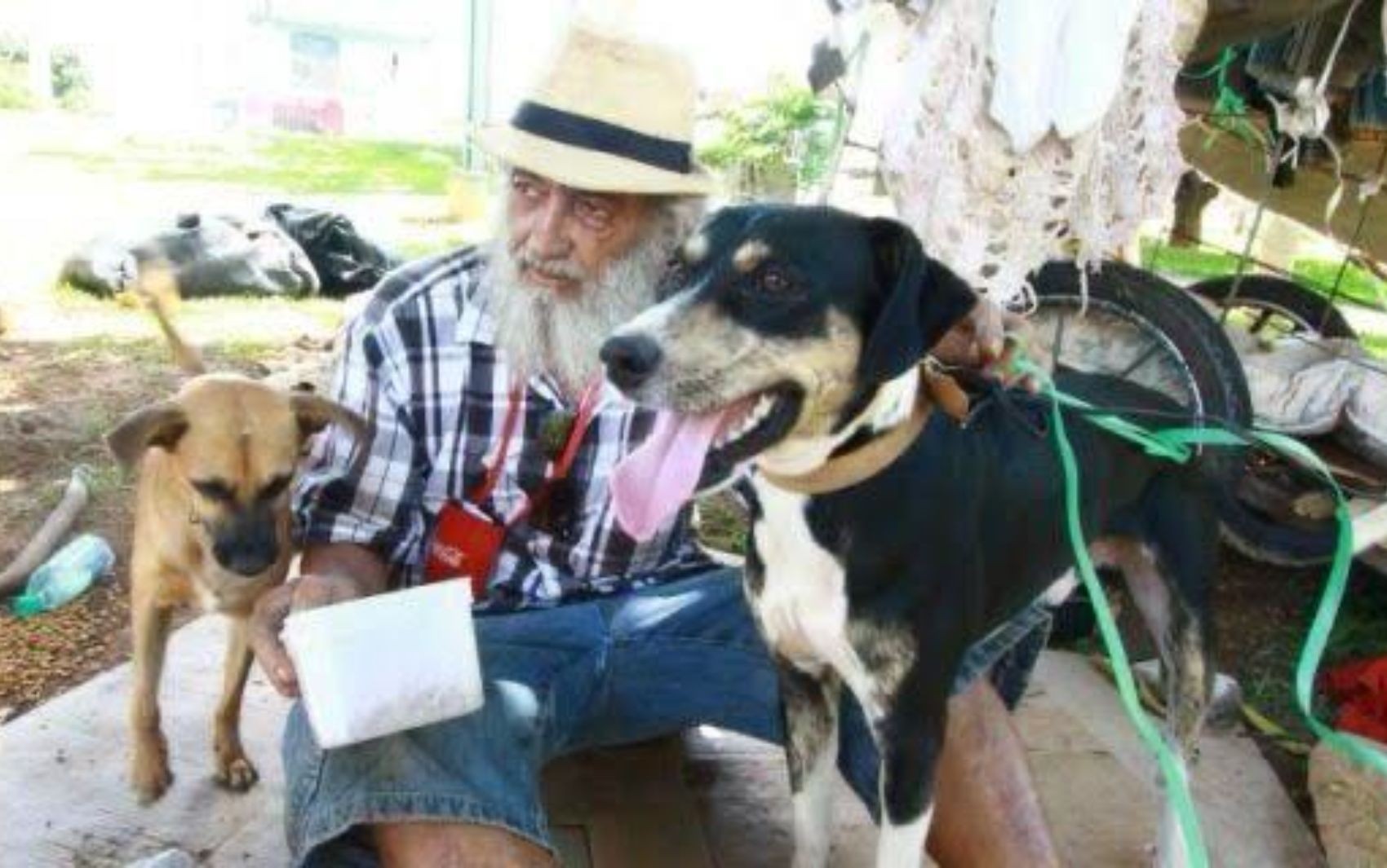 Pedreiro é condenado a mais de 18 anos de prisão por matar homem conhecido por cuidar de dezenas de cães e gatos em Goiânia