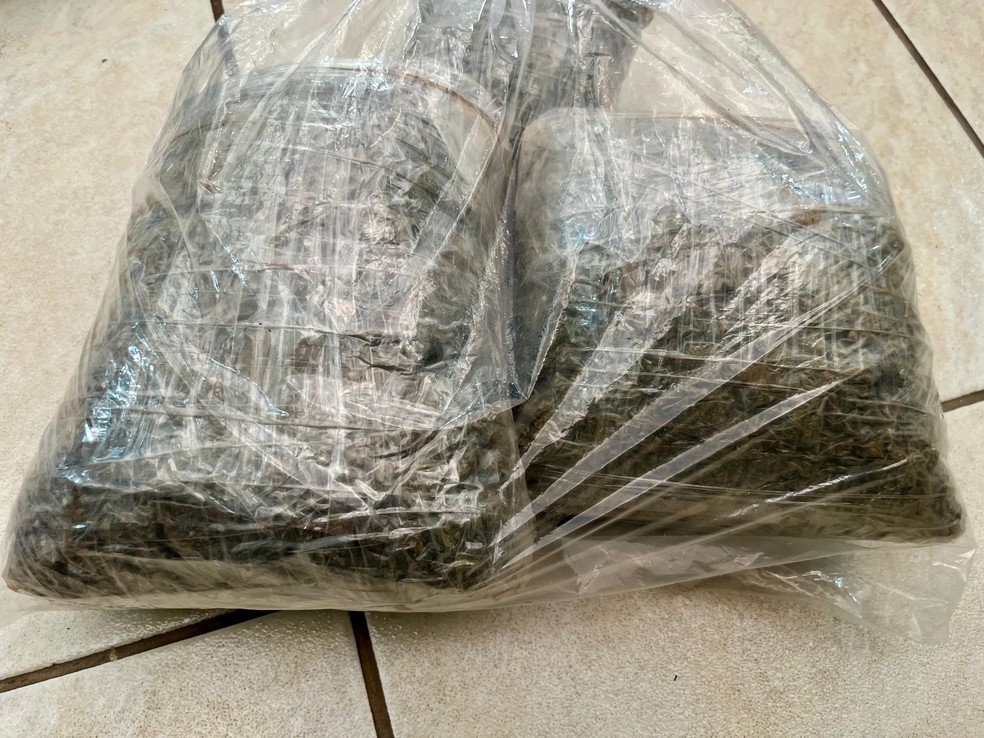 Ao todo, a polícia apreendeu 198,500 quilos de maconha e 016,500 quilos de haxixe — Foto: Polícia Militar Rodoviária