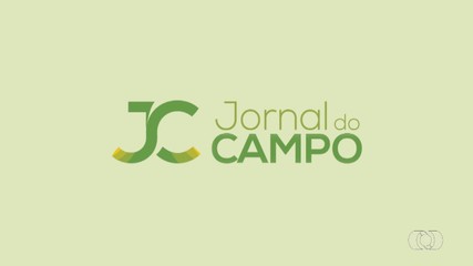 Confira os destaques do Jornal do Campo de domingo (2)