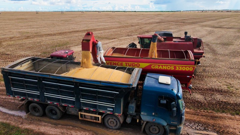 Soja, combustível e celulose: veja cenários dos principais produtos exportados pela Bahia no 1º semestre de 2025