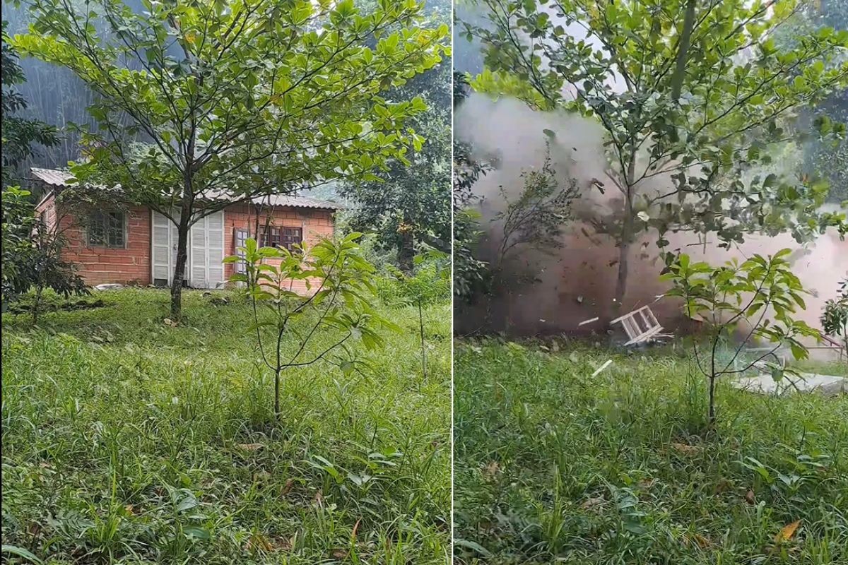 Crimes contra a flora lideram as 661 ocorrências ambientais na Baixada Santista em 2026