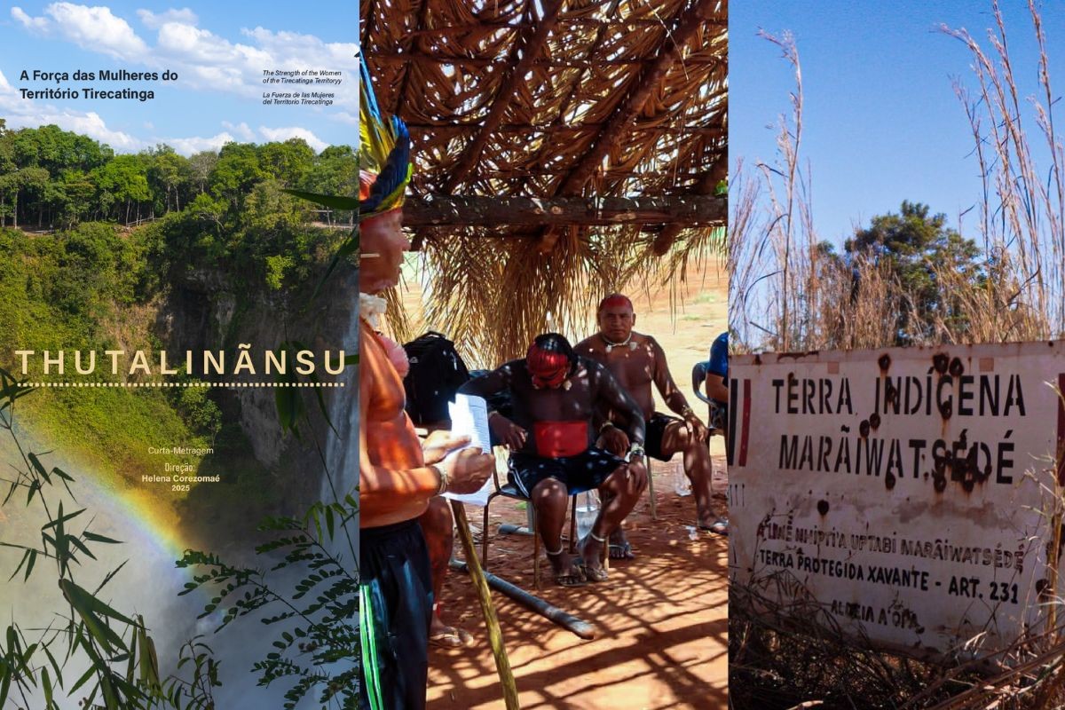 Quatro documentários de MT são exibidos em mostra de cinema no RJ
